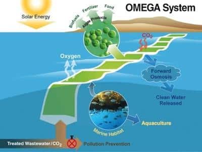 OMEGA-nasa-producir-biocombustible-sostenible