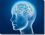 Cerebro_Actividad_Cerebral